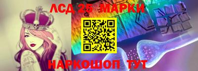 гидропоника Рязань