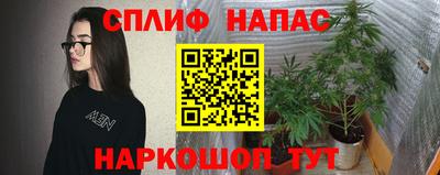 гидропоника Рязань