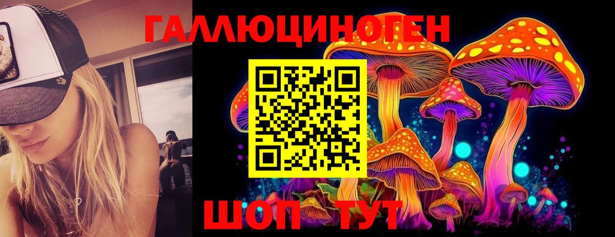Псилоцибиновые грибы прущие грибы Осинники